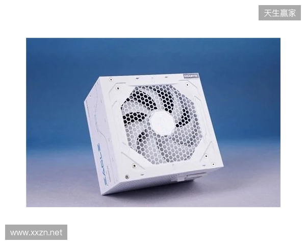 黑白双鹰，白金降临：技嘉猎鹰 冰猎鹰白金电源4月27日开售